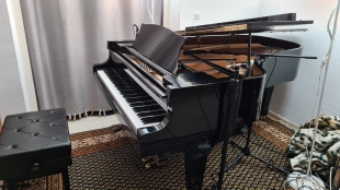 Mi piano de cola 